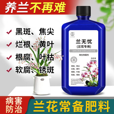 君德兰无忧黑斑焦尖烂根黄叶根腐专用菌剂 杀菌兰花专用微生物菌