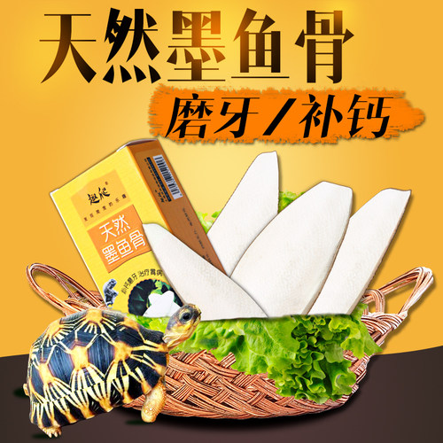爬宠D3钙粉墨鱼骨乌龟巴西草龟水龟陆龟鹦鹉磨牙仓鼠补钙品