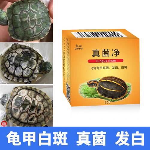 乌龟真菌净背甲护理真菌白斑巴西草龟背甲发白水碱白斑背甲水垢
