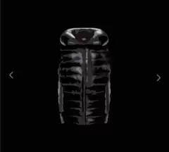 Winter down Vest for Men and Women, Custom-Made