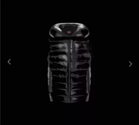 Winter down Vest for Men and Women, Custom-Made