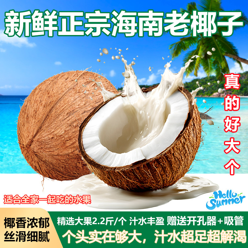 正宗当季海南老椰子新鲜煲汤汁水丰富超大超解渴丝滑肉厚孕妇水果