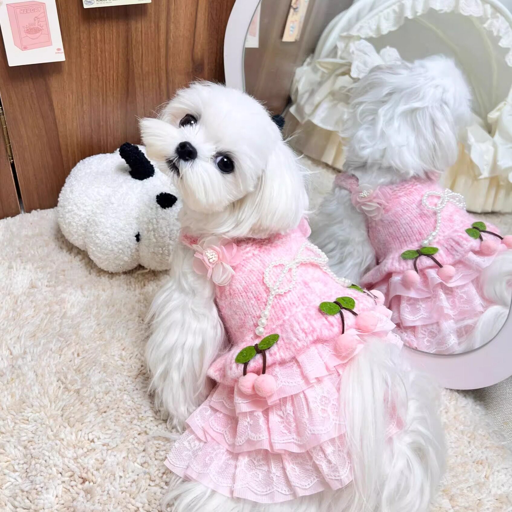 狗狗裙子秋冬款公主蕾丝蓬蓬裙约克夏马尔济斯比熊泰迪博美小型犬