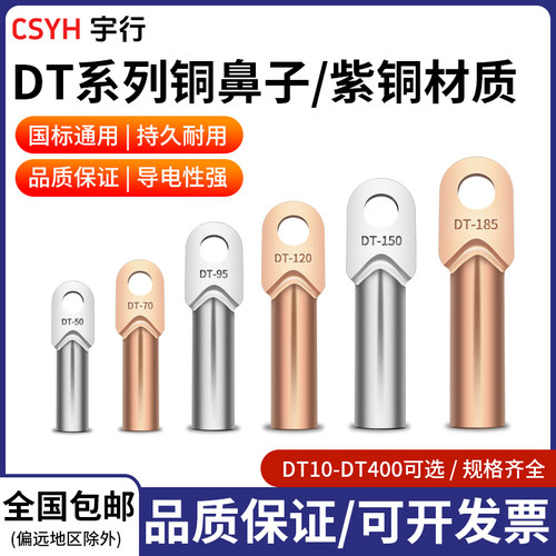 CSYH铜鼻子接线端子10/16/25/35