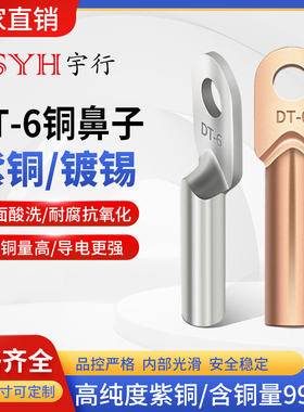 DT镀锡本色铜鼻子DT-6平方铜鼻子接线端子线耳线鼻子国标