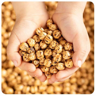 香酥烤鹰嘴豆土耳其原味 Roasted chick peas 500g即食无添加零食