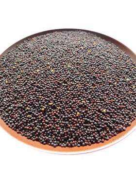 INDIAN SPICE 印度食品 香料 BLACK MUSTARD SEEDS 黑芥籽 100g