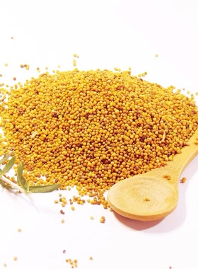 黄芥籽 黄芥子 Yellow mustard seed mustard seeds 50g