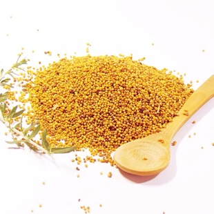 黄芥籽 黄芥子 Yellow mustard seed mustard seeds 50g