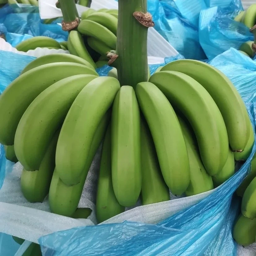 海南正宗绿皮香蕉青皮自然熟热带新鲜水果香甜香蕉5/8斤