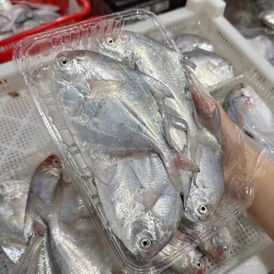 流网白鲳鱼鲜嫩4-5只/400g