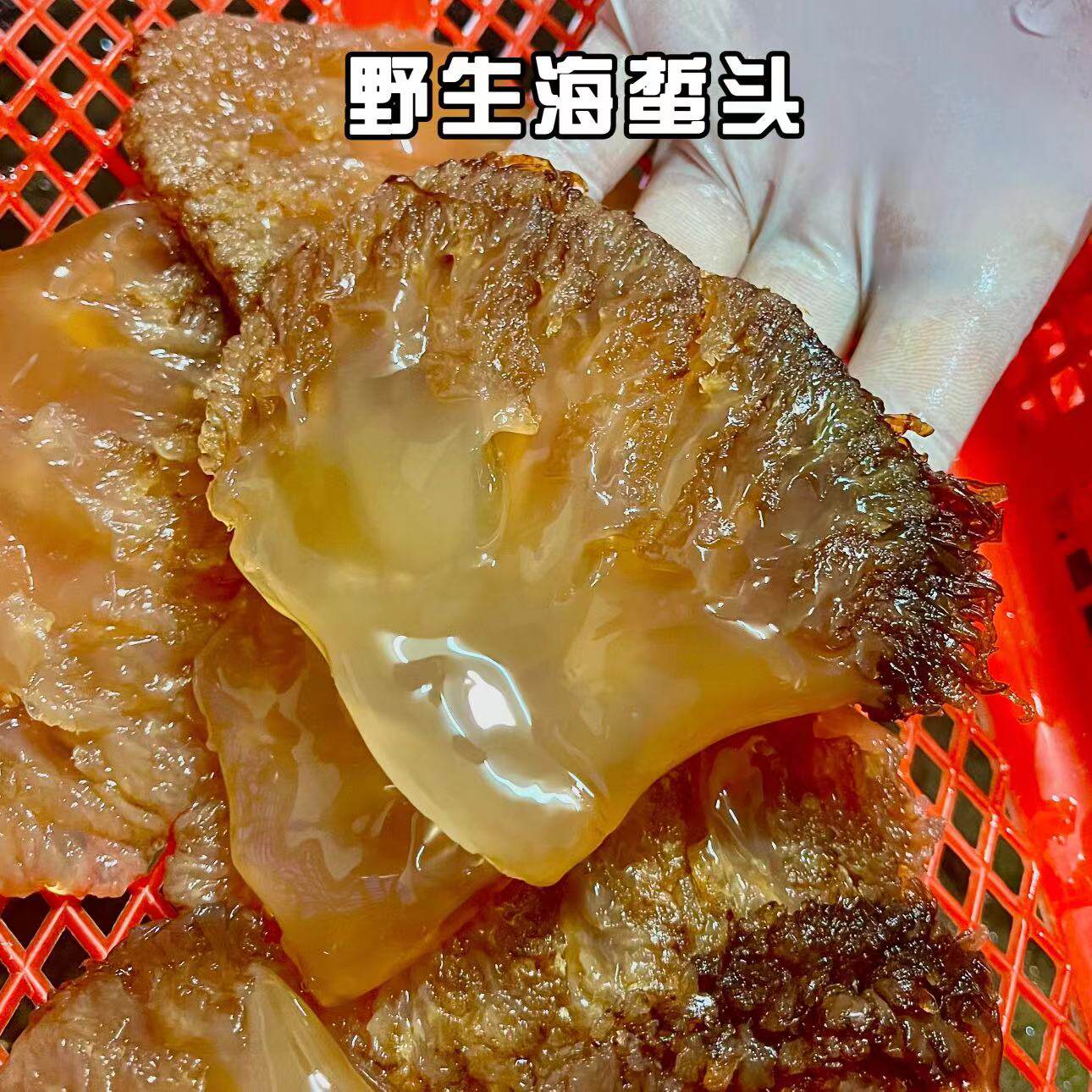 精品野生大海蜇头 海货 脆嫩爽口 3.5斤/桶