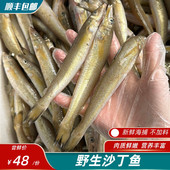 盒 海捕沙丁鱼 肉质鲜美洁白 13只左右 沙尖鱼 400g装