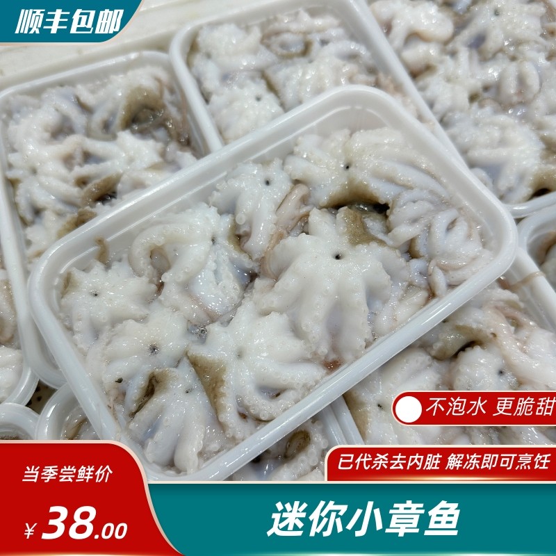 迷你小章鱼 小八爪鱼 已代杀处理内脏 净重7两/盒装 解冻即可烹饪,水产肉类/新鲜蔬果/熟食,冷冻章鱼,淘宝优惠券,粉丝福利购,淘宝优惠卷