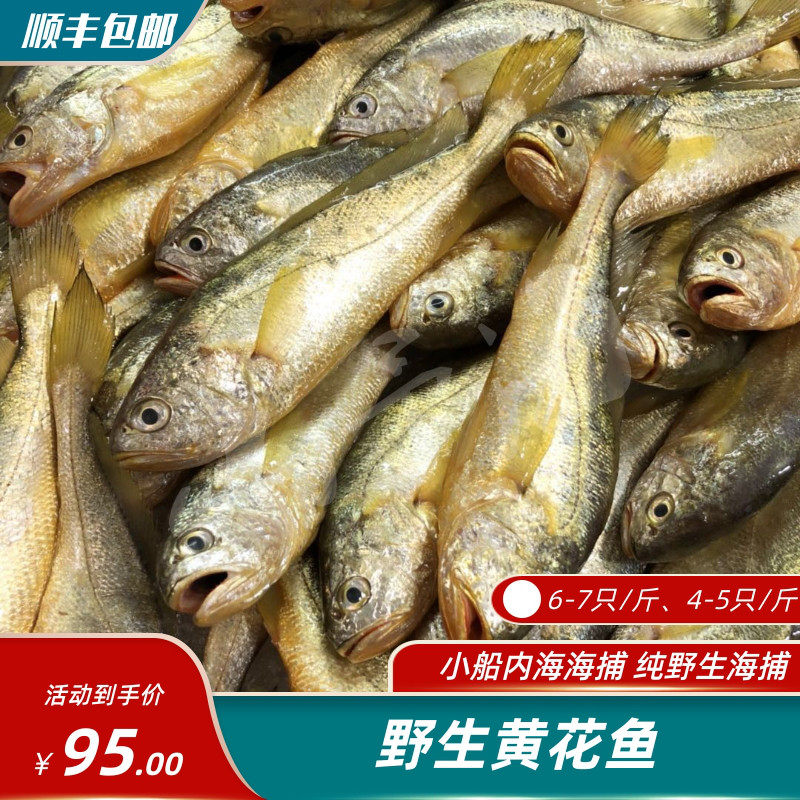 东海黄花鱼4-5只/斤 6-7只/斤规格黄瓜鱼 霞浦天然海鲜宝宝辅食,水产肉类/新鲜蔬果/熟食,黄鱼,淘宝优惠券,粉丝福利购,淘宝优惠卷