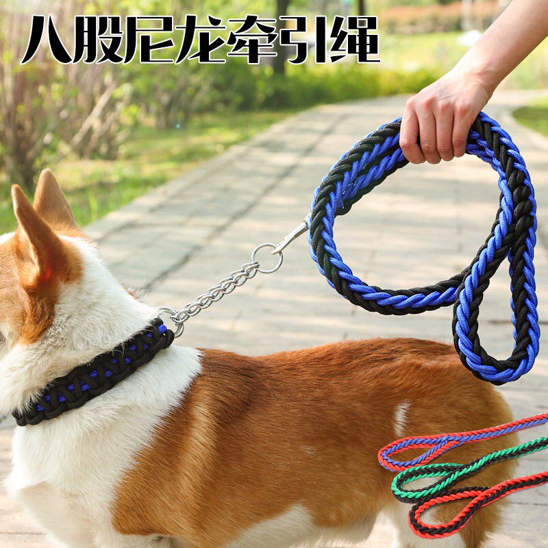 狗绳遛狗专用中大型德牧狗犬牵引绳带链子项圈防爆冲持久耐用绳子