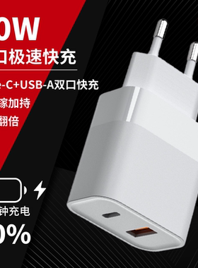 PD30W极速闪充手机充电器typeC口欧洲法国瑞士美国多功能转换插头