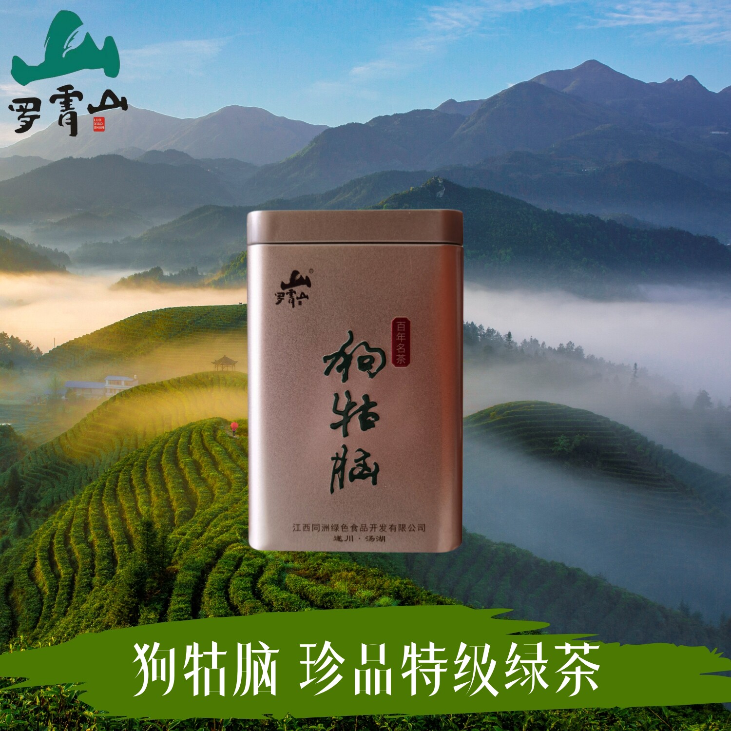 遂川狗牯脑茶叶罐散装2023年新茶1915珍品特级绿茶江西土特产春季