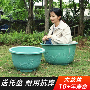 塑料圆花盆超特大号大码 清仓庭院种树龙缸胶盆加厚铁树脂花盆落地