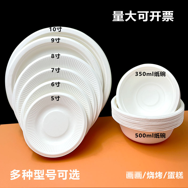 辰骐手工一次性纸盘diy绘画