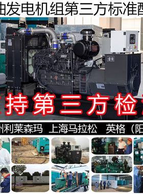 智能控制220KW柴油发电机组 275KVA 255KW上柴SC9D340D2