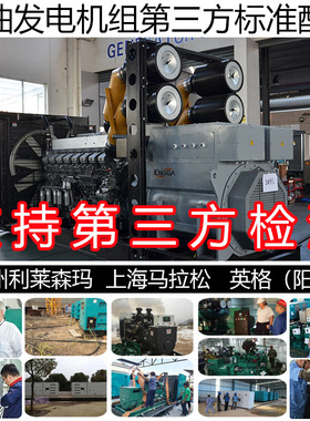 高压1500KW发电机组 10500V 1875KVA 1760KW日本三菱 S16R-PTA2