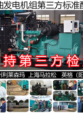 智能控制260KW柴油发电机组 325KVA 264KW潍柴WP10D264E200