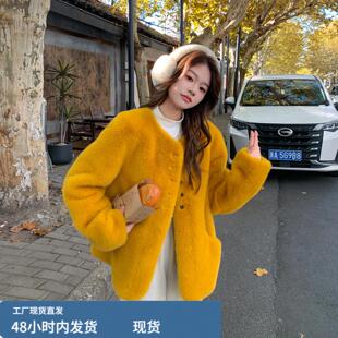 橘黄色短款水貂绒皮毛一体外套2025新款女冬圆领小个子毛毛厚上衣