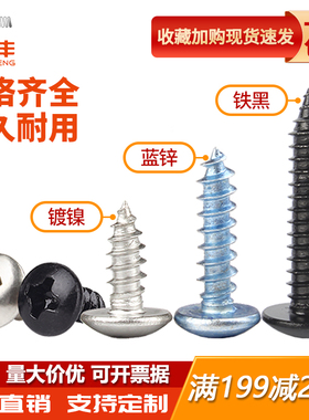 蓝锌加硬十字大扁头自攻螺丝大伞头蘑菇头自攻钉TA电子小螺钉M4M5