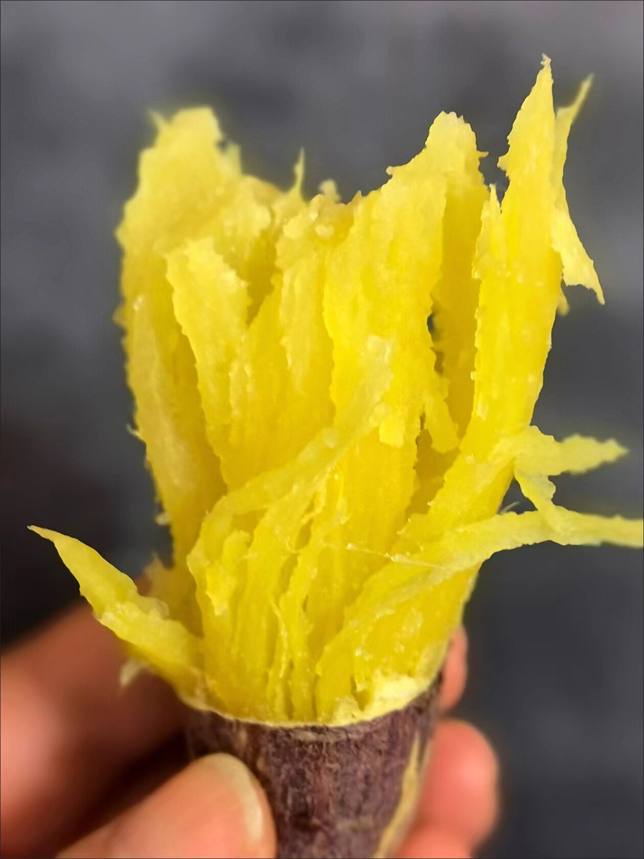 日本玛莎莉烤红薯5斤糖心超甜新鲜山东进口黄心板栗蜜薯绿色健康