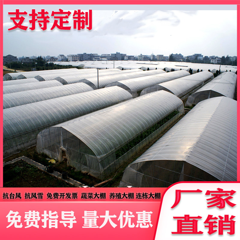 大棚钢管骨架养殖鸡鸭鹅猪牛羊大棚配用全套种植家用温室大棚连栋图片