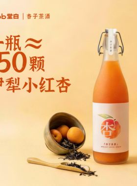 堂白杏子茶酒预调鸡尾酒