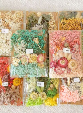 花艺材料包永生干花料A款画团扇贺卡手工干花小花束天然真花滴胶