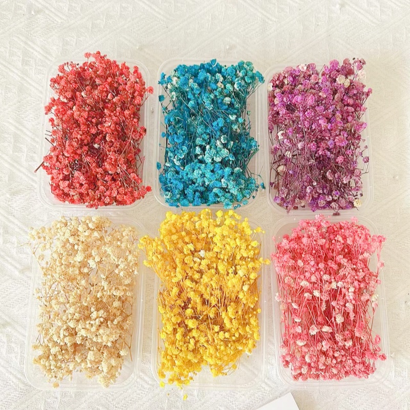 满天星diy永生花材批发相框盒装干花包装饰真花ins摆件拍摄道具