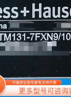 议价E+H温度传感器 TM131-AABBCCC1BA4AGAE