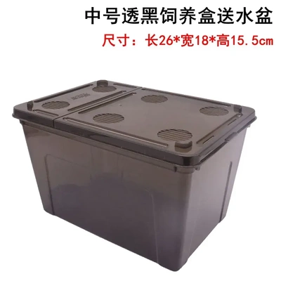 面包虫饲养盒宠物蚕宝宝特大号