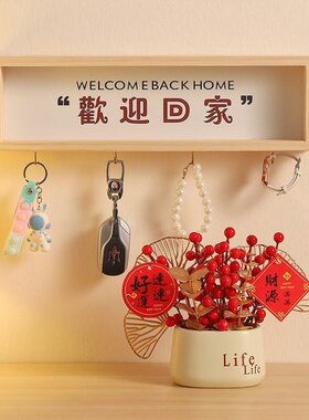 高级入门玄关摆件欢迎回家入户门口放钥匙收纳神器挂钩免打孔装饰