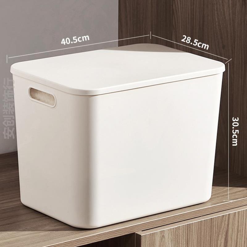 收纳盒放在衣柜里的学生塑料收纳桌面衣架化妆品特大号柜白色玩具