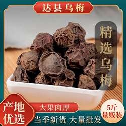 达县乌梅干原味商用泡茶泡水一整箱酸梅汤原料袋装非烟熏500克