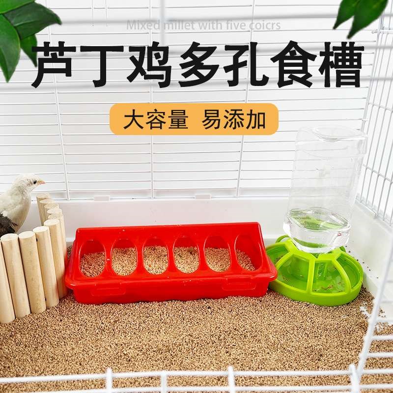 小鸡槽子小型自动饮水器鹌鹑饲料喂食器芦丁鸡食槽养Y鸡自动喂食