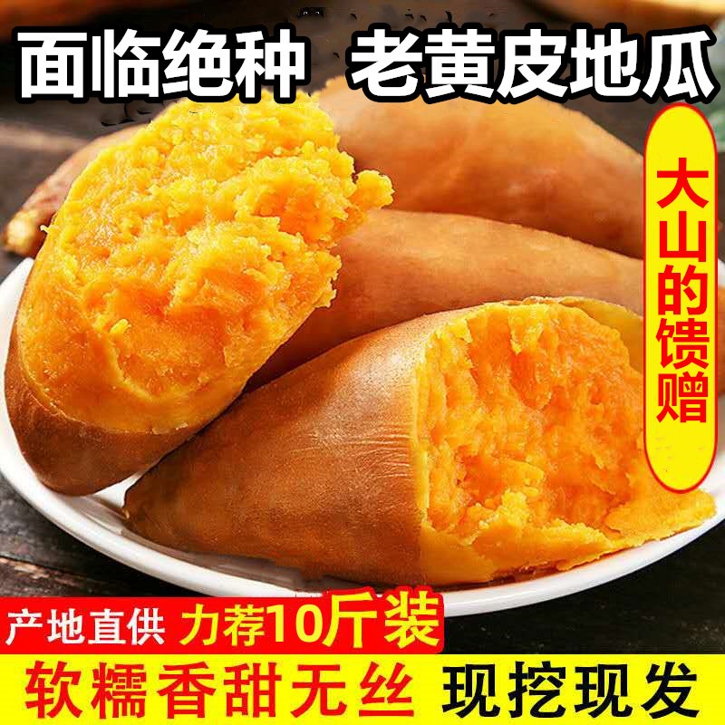 新鲜老黄皮黄心黄瓤地瓜红薯山芋番薯农家老品种