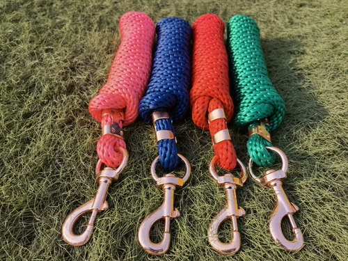 Лошадь поставляет ведущих лошадей лошадей, чтобы держать головы и потянуть поводья веревочных лошадей