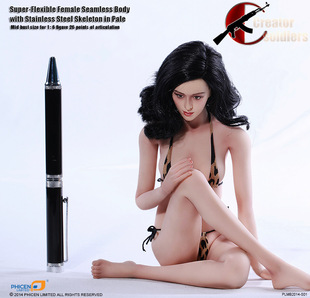 1:6 兵人 Phicen  钢骨架无缝包胶中胸女素体 PLMB2014-S01