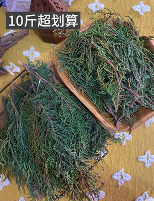 煨桑烟供火供新鲜藏柏香柏香枝香薰料柏香浓香型正宗藏香柏10斤装