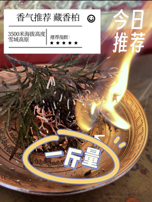 西藏高原天然藏香柏叶家用香薰净化空气 植物香薰一斤