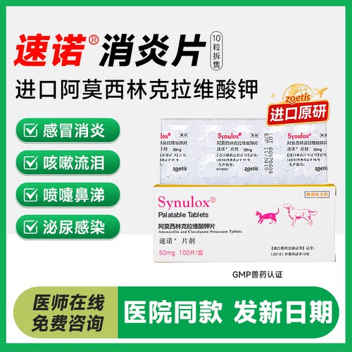 阿莫西林猫狗消炎感冒药