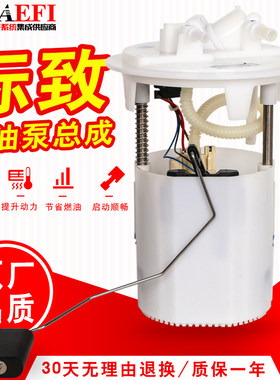 适用于标致雪铁龙汽油燃油泵总成