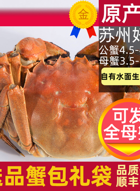 活蟹8只苏州大闸蟹阳澄鲜活螃蟹大公蟹4.8两全母蟹3.8两生鲜礼盒