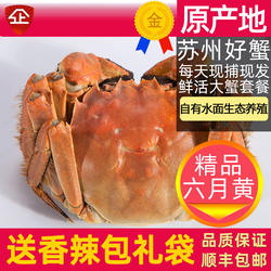 活蟹8只苏州大闸蟹阳澄鲜活大螃蟹公蟹5两全母蟹4两活蟹大蟹礼盒