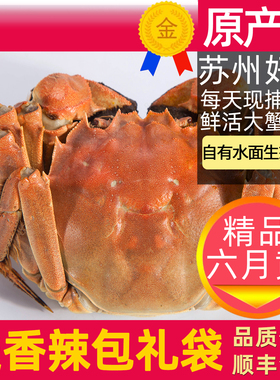 活蟹8只苏州大闸蟹遇见阳澄鲜活大螃蟹公蟹5两全母蟹4两大蟹礼盒